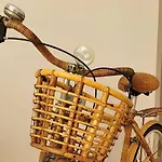 Panzió Domus Olea 3*