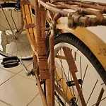 Domus Olea Panzió Policastro Bussentino