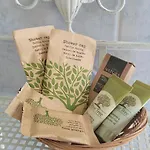 Panzió Domus Olea 3*