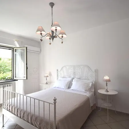Domus Olea Bed & Breakfast Policastro Bussentino