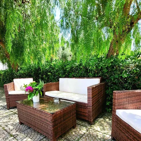 Domus Olea Bed & Breakfast Policastro Bussentino