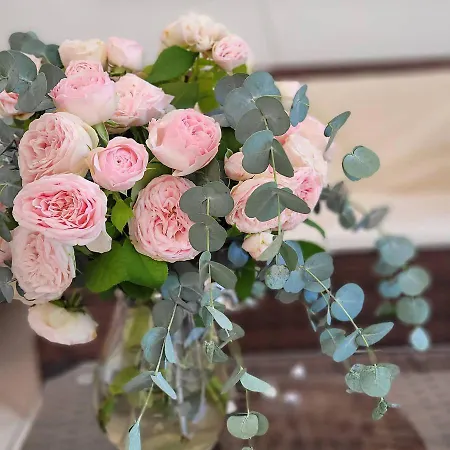 Domus Olea Bed & Breakfast 3*