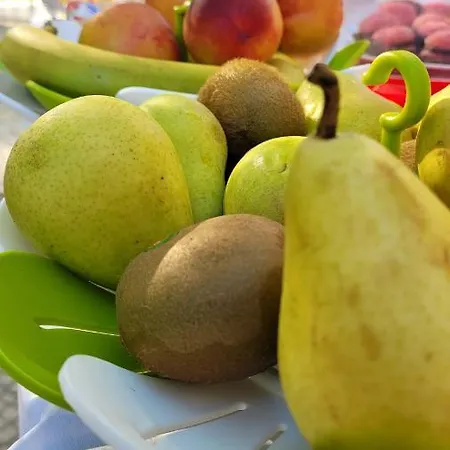 Domus Olea Frühstückspension *