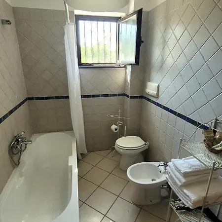 Bed & Breakfast Domus Olea