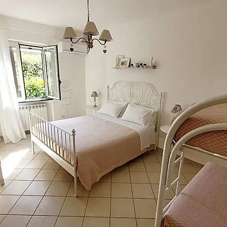 Domus Olea 3*