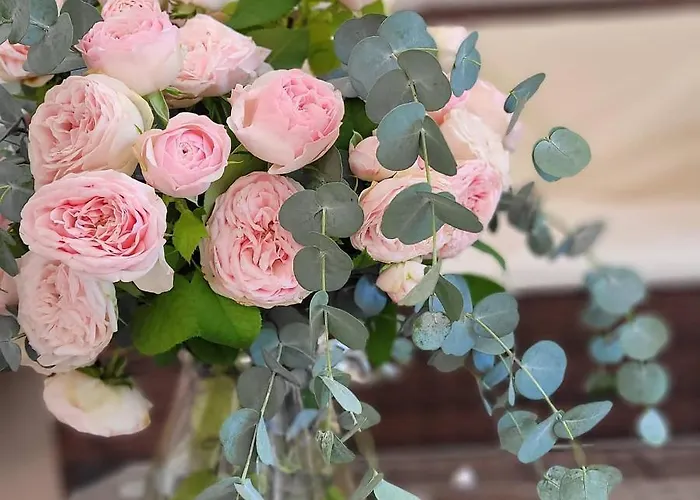 Domus Olea 住宿加早餐酒店 3*